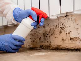 Best Emergency Mold Remediation  in Kansas City, KS